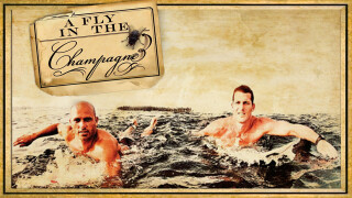 A Fly In The Champagne