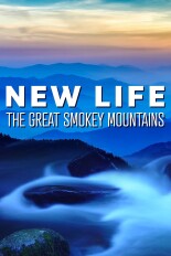 New Life: The Great Smoky Mountains