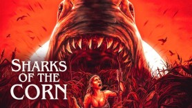Sharks of the Corn