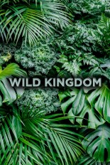 Wild Kingdom