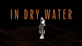 In Dry Water