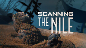 Scanning the Nile