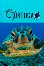 Mundo tortuga