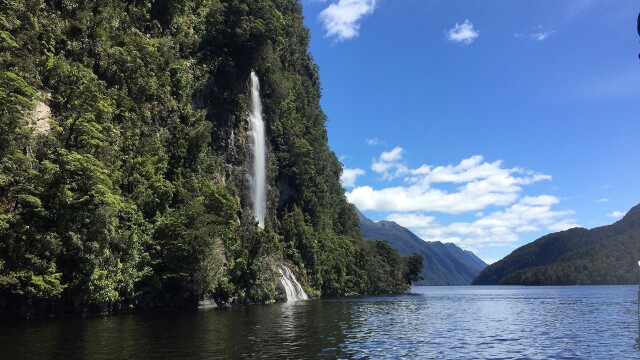 Wild New Zealand