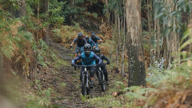 Shaping an Island: The Story of Freeride Madeira