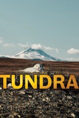 Tundra