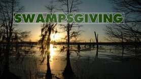 Swampsgiving