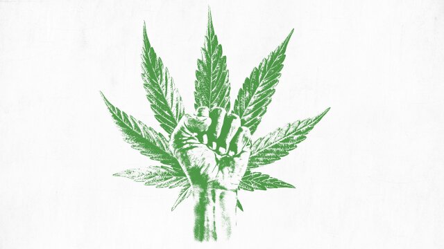 The Marijuana Revolution