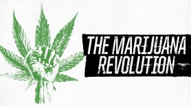 The Marijuana Revolution