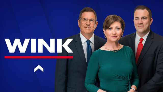 WINK News at 7pm