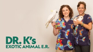 Dr. K's Exotic Animal ER