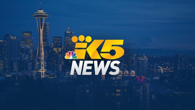 KING 5 News on KONG at 10:30