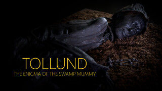 Tollund: The Enigma of the Swamp Mummy
