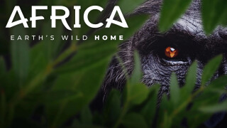 Africa Earth's Wild Home
