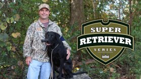 Super Retriever Series