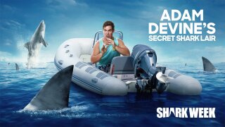 Adam Devine's Secret Shark Lair