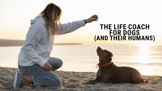 The Life Coach for Dogs (and Their Humans)