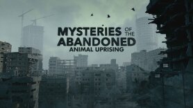 Mysteries of the Abandoned: Animal Uprising