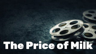 The Price of Milk