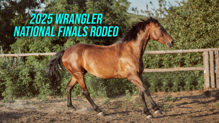 2025 Wrangler National Finals Rodeo