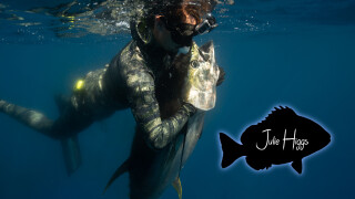 Julie Higgs Spearfishing