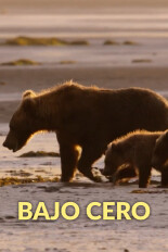 Bajo cero