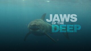Jaws of the Deep
