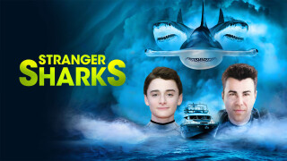 Stranger Sharks