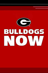 Bulldogs Now