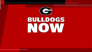 Bulldogs Now
