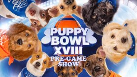 Puppy Bowl XVIII: Pre-Game Show