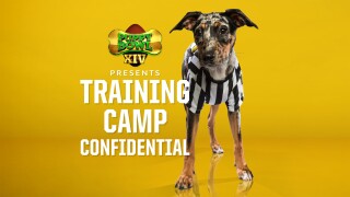 Puppy Bowl XIV Presents: Training Camp Confidential