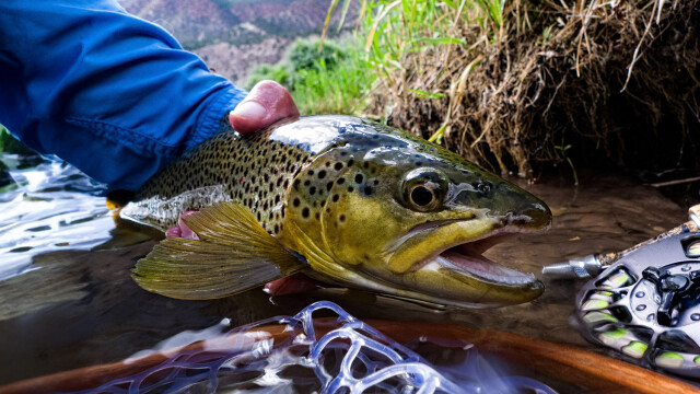 Adventure Guides Fishing