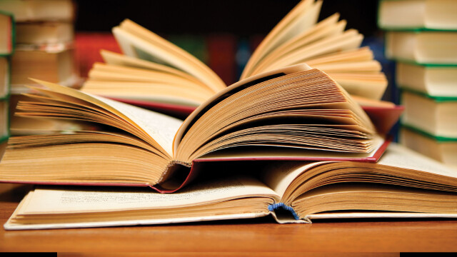 Michelle Young, The Art Spy