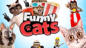 Funny Cats
