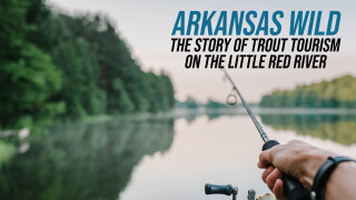 Arkansas Wild: The Story of Trout Tourism on the Little Red River