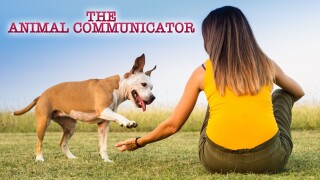 The Animal Communicator