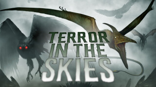 Terror in the Skies