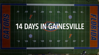 14 Days in Gainesville