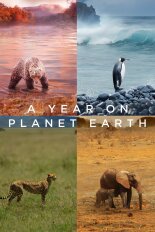 A Year on Planet Earth