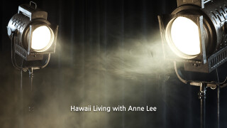 Hawaii Living with Anne Lee