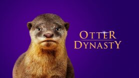 Otter Dynasty