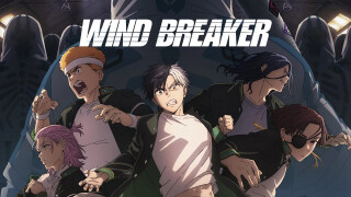 Wind Breaker