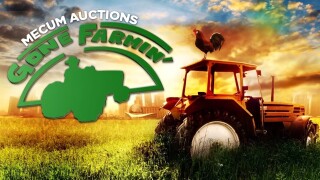 Mecum Auctions Gone Farmin'