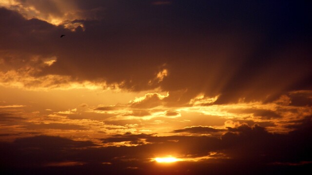 While Still Dark