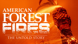 American Forest Fires: The Untold Story