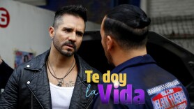 Te doy la vida