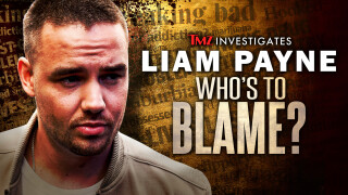 TMZ Investigates: Liam Payne: Who's to Blame?