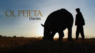 Ol Pejeta Diaries