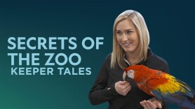 Secrets of the Zoo: Keeper Tales